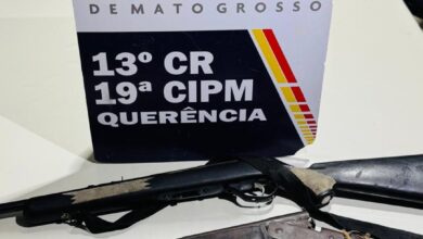 Photo of PM apreende armas e munições após disparos contra animal no Distrito de Brasil Novo