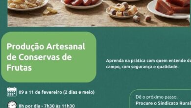 Photo of Querência: Curso de Produção Artesanal de Conservas de Frutas será realizado em fevereiro