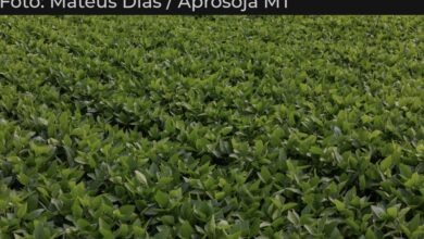 Photo of Nota Oficial: Aprosoja -MT