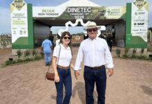 Photo of Gestão municipal de Querência acompanha a Dinetec Brasil 2026