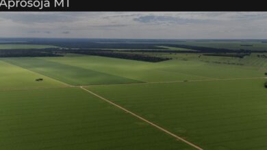 Photo of Aprosoja MT alerta que piso mínimo do frete amplia custos e compromete a competitividade do agro