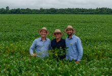 Photo of A história da família Junges atravessa gerações e cria raízes no campo de Querência