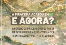Photo of Fim da piracema em Mato Grosso: atenção às regras segue obrigatória