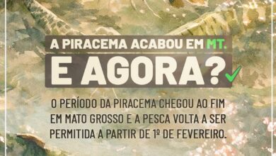 Photo of Fim da piracema em Mato Grosso: atenção às regras segue obrigatória