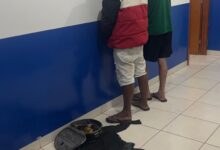Photo of Polícia Militar desarticula associação criminosa e apreende suspeitos por furto de módulos em Bom Jesus do Araguaia