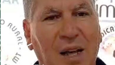 Photo of Informativo Agrícola: Chuvas preocupam produtores rurais em Querência