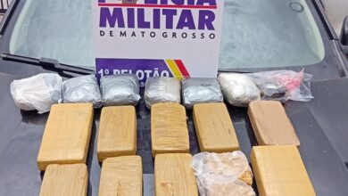 Photo of Ação integrada apreende mais de 14 kg de drogas em Ribeirão Cascalheira