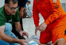 Photo of Curso de Brigadistas 2026 capacita servidores municipais em Querência