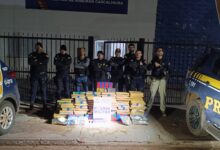 Photo of Operação conjunta apreende mais de 330 kg de drogas em Ribeirão Cascalheira