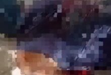 Photo of Autor de homicídio em Cocalinho segue foragido após crime na Vila da Balsa