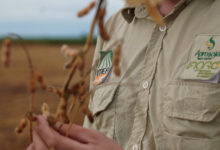 Photo of Imea em Campo apresenta resultados da Etapa Soja 2025/26