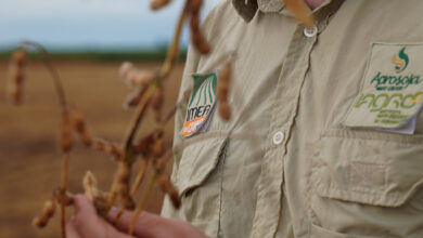 Photo of Imea em Campo apresenta resultados da Etapa Soja 2025/26