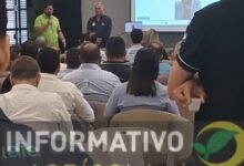 Photo of Informativo Agrícola: Sicredi promove Café com Agro e debate crédito, seguro rural e reforma tributária em Querência
