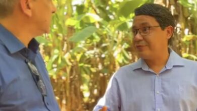 Photo of Agricultura de pequena escala surge como alternativa mais rentável ao arrendamento de terras