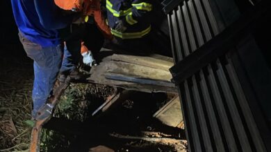 Photo of Carreta com gado tomba próximo ao Distrito Pingo D’Água e mobiliza equipes em Querência