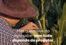 Photo of CrediSIS Primacredi destaca importância do seguro rural para fortalecer a gestão no campo em Querência
