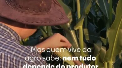 Photo of CrediSIS Primacredi destaca importância do seguro rural para fortalecer a gestão no campo em Querência