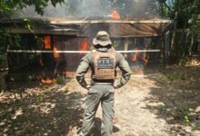 Photo of Operação resulta em prisões por crime ambiental e demolições de construções irregulares em Área de Preservação Permanente