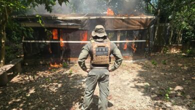 Photo of Operação resulta em prisões por crime ambiental e demolições de construções irregulares em Área de Preservação Permanente