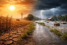 Photo of Fim da La Niña abre caminho para possível chegada do El Niño em maio