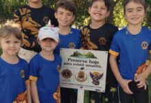 Photo of Lions Clube Querência promove ações ambientais e fortalece trabalho comunitário