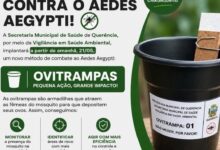 Photo of Querência une forças no combate à dengue com instalação de ovitrampas