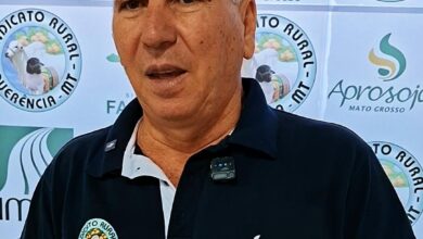 Photo of Informativo Agrícola: Querência debate futuro do agro e organiza Abertura Nacional da Colheita do Milho 2026