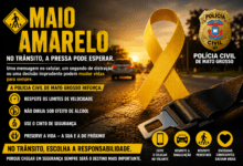 Photo of Maio Amarelo: Polícia Civil reforça conscientização para um trânsito mais seguro em Mato Grosso