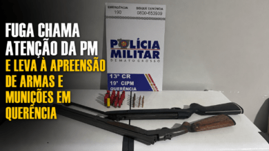 Photo of Fuga chama atenção da PM e leva à apreensão de armas e munições em Querência