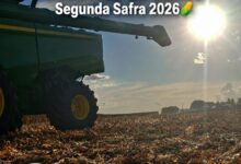 Photo of Querência sedia Abertura Nacional da Colheita do Milho Segunda Safra 2026 na Estância VN