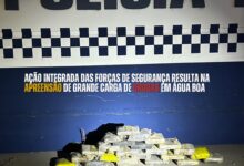 Photo of Operação integrada apreende 23 pacotes de skank e prende suspeito por tráfico em Água Boa